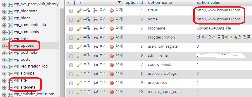 사이트맵 가져올 수 없음 을 수정하기 위해 워드프레스 site url 변경시 수정해야하는 table들